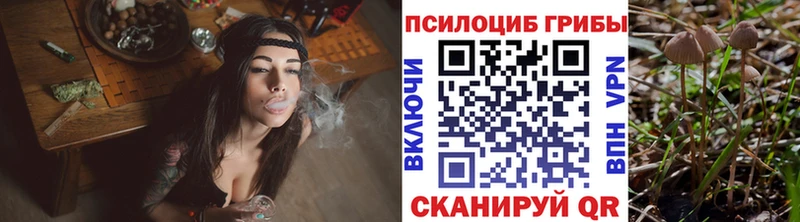 Галлюциногенные грибы GOLDEN TEACHER  закладка  Любим 